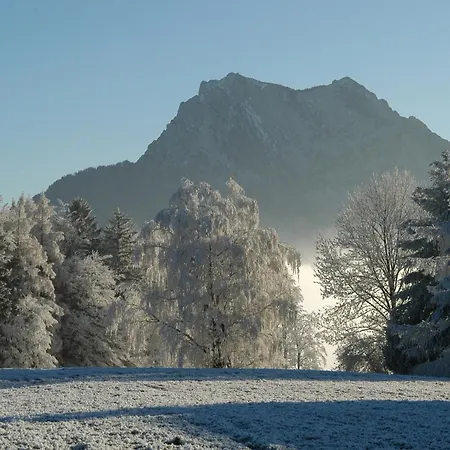 Altmuensterhof 3* Altmünster