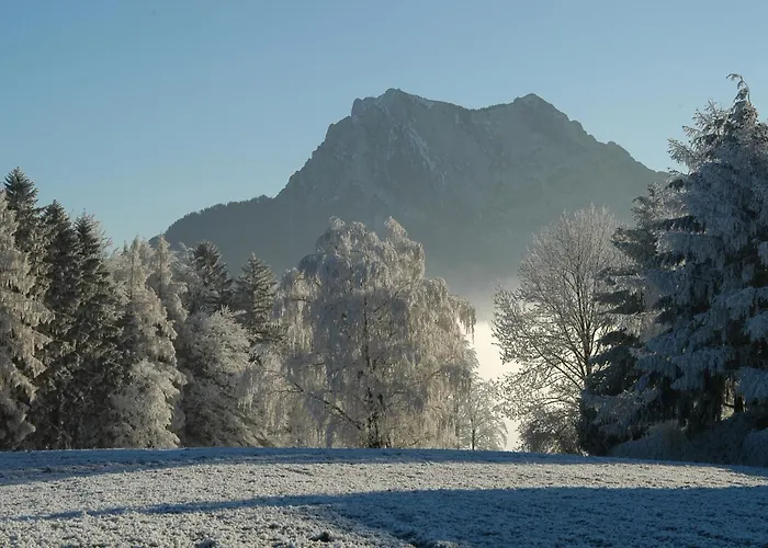 Altmuensterhof 3* Альтмюнстер